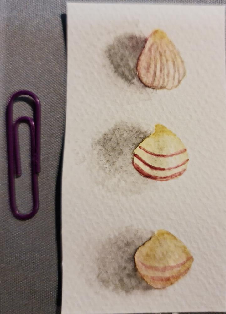 She paints seashells... - image 3 - student project