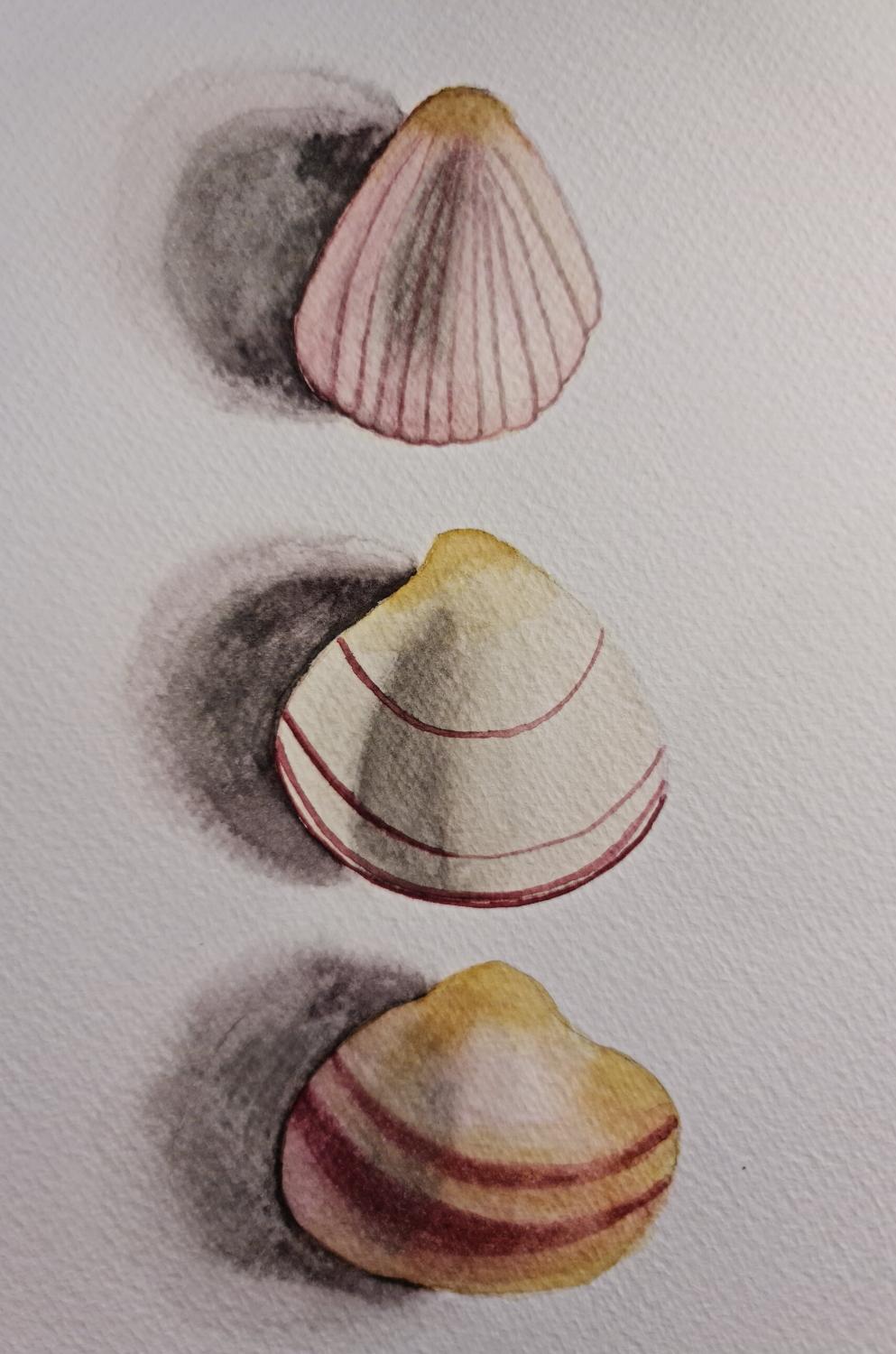 She paints seashells... - image 1 - student project