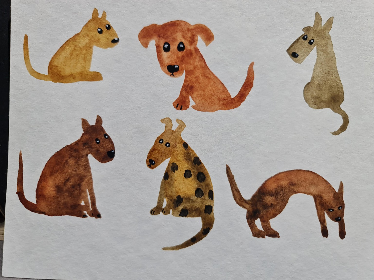 My don't-think-about-it-too-much dogs - image 2 - student project