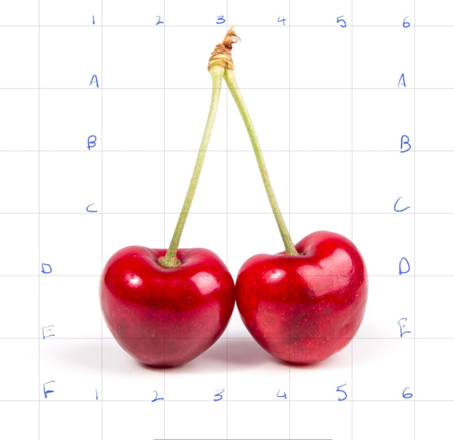Grid proportions - image 1 - student project