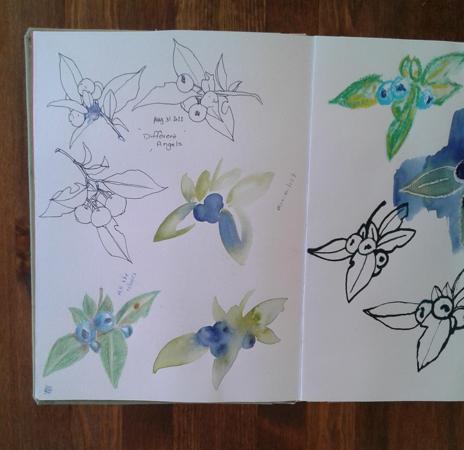 Exploring Blueberries - image 2 - student project