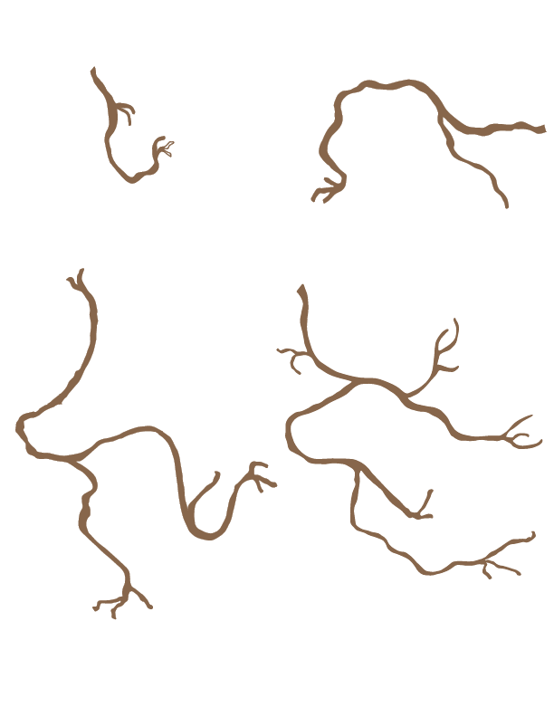 Branches & Sweet Peas - image 5 - student project