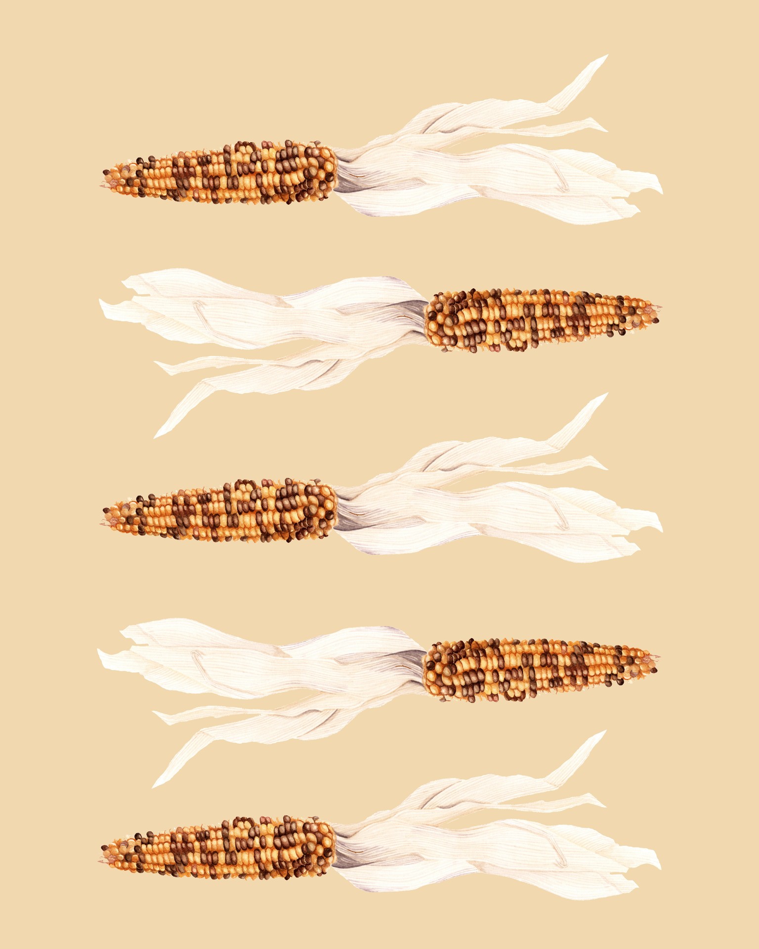Watercolor Corn - image 3 - student project