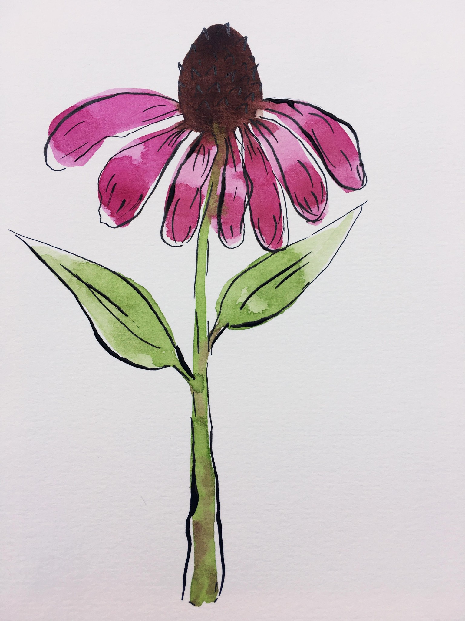 Coneflower with calligraphy - image 2 - student project