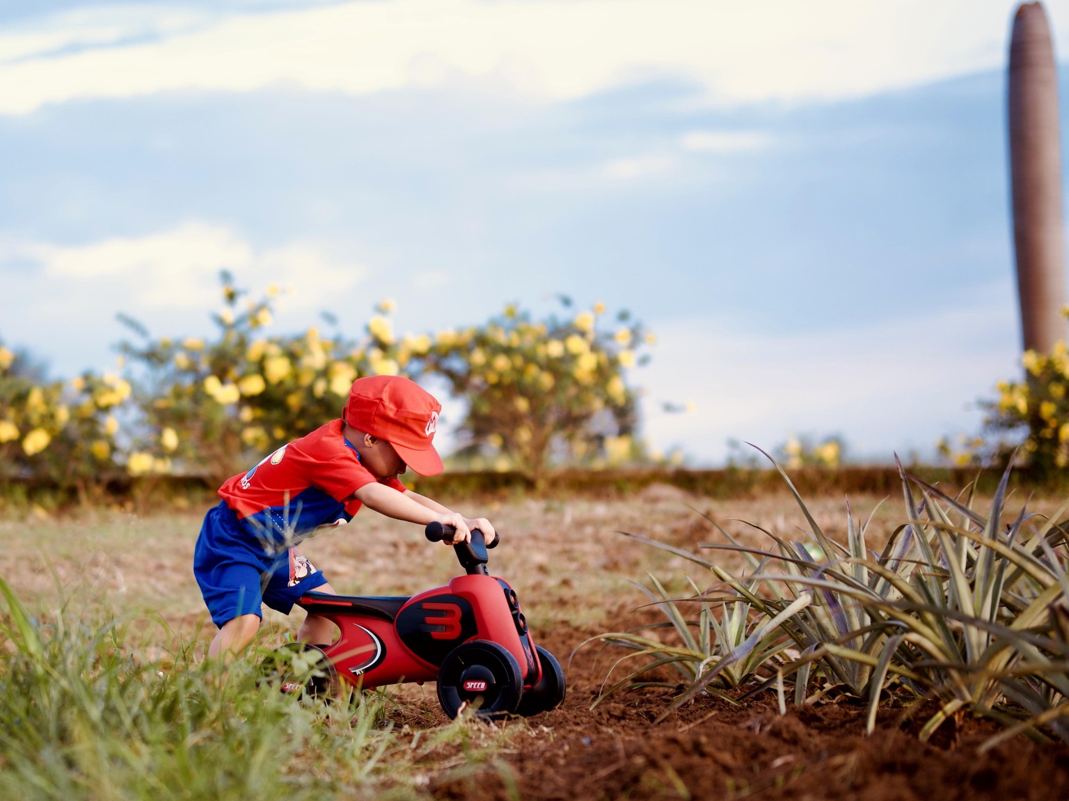 Sample Image for this class - image 1 - student project
