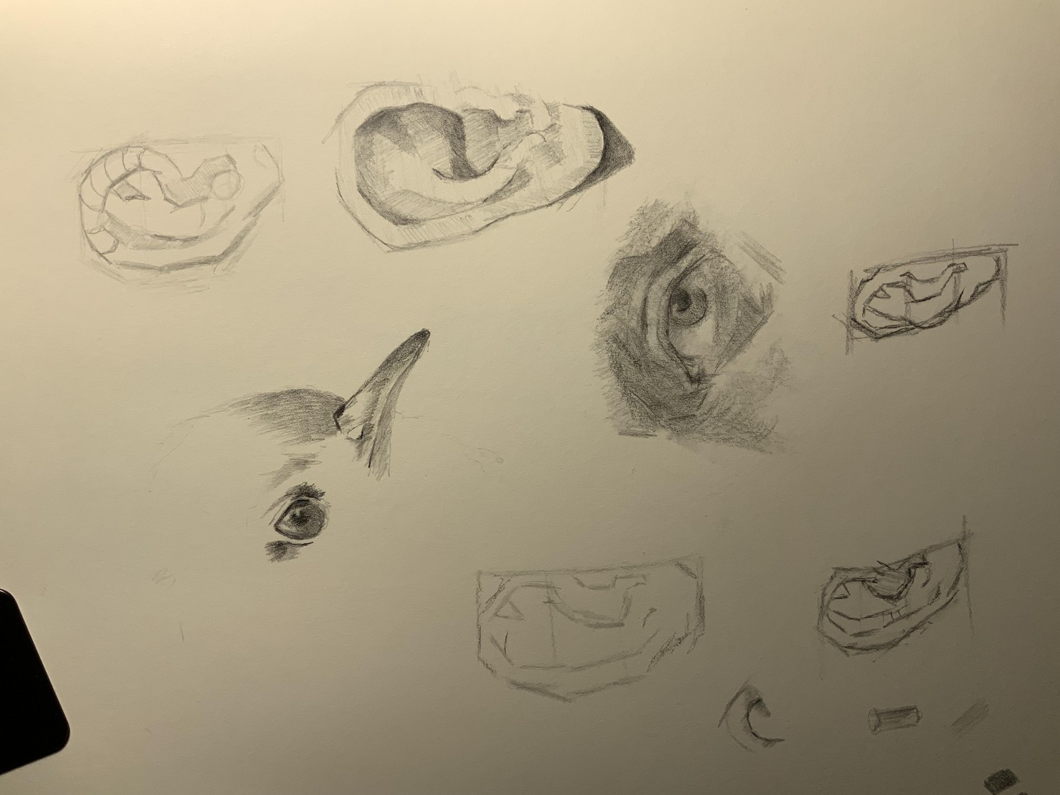 Sketchbook - image 1 - student project