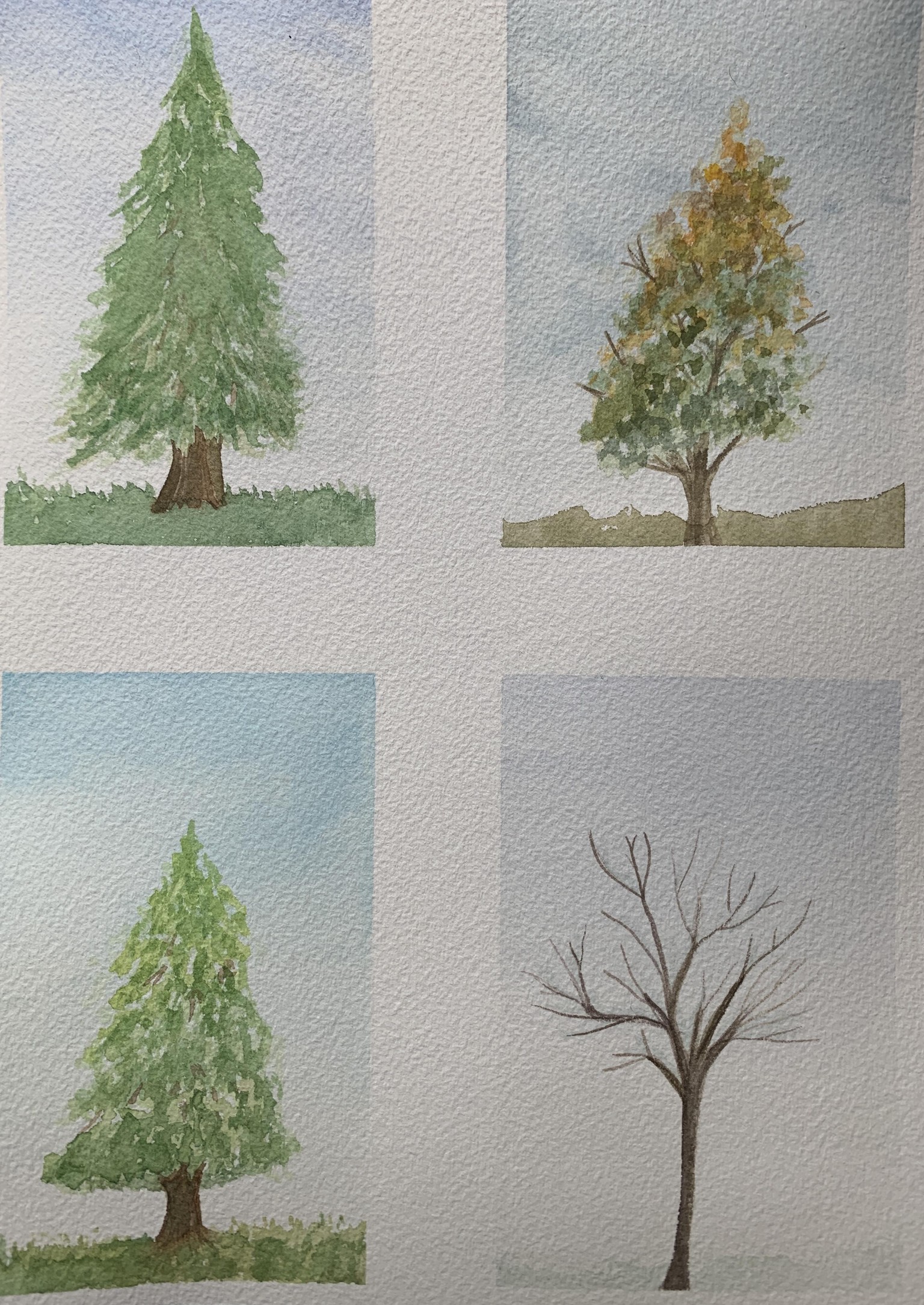 Watercolor Mood - Four Seasons - image 4 - student project