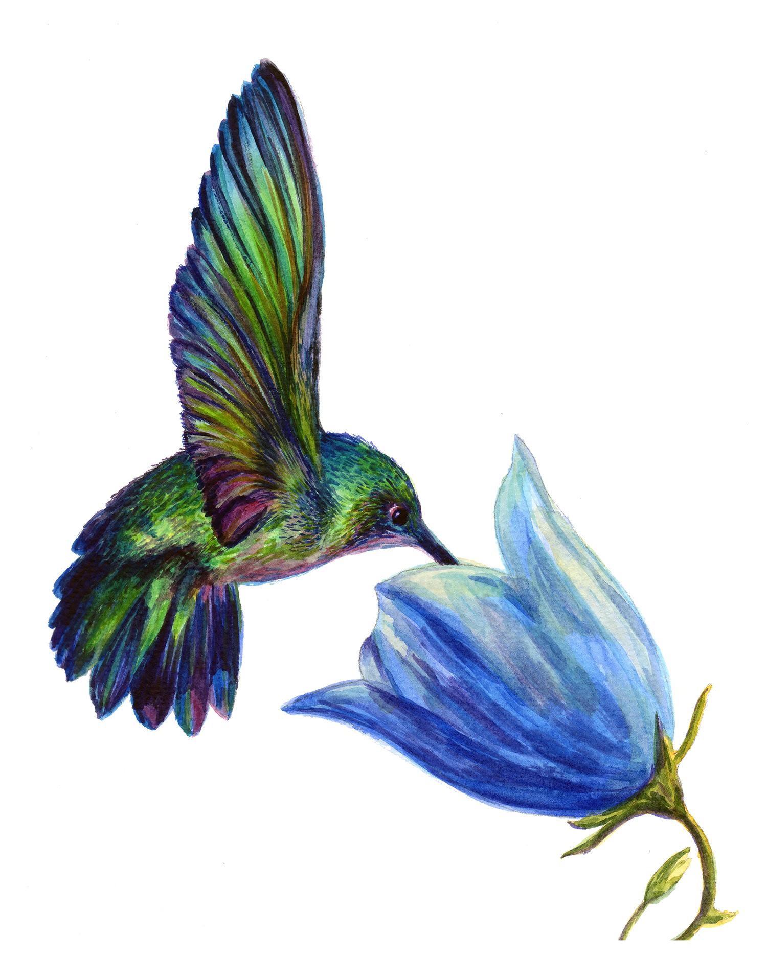 So much iridescence! - image 1 - student project