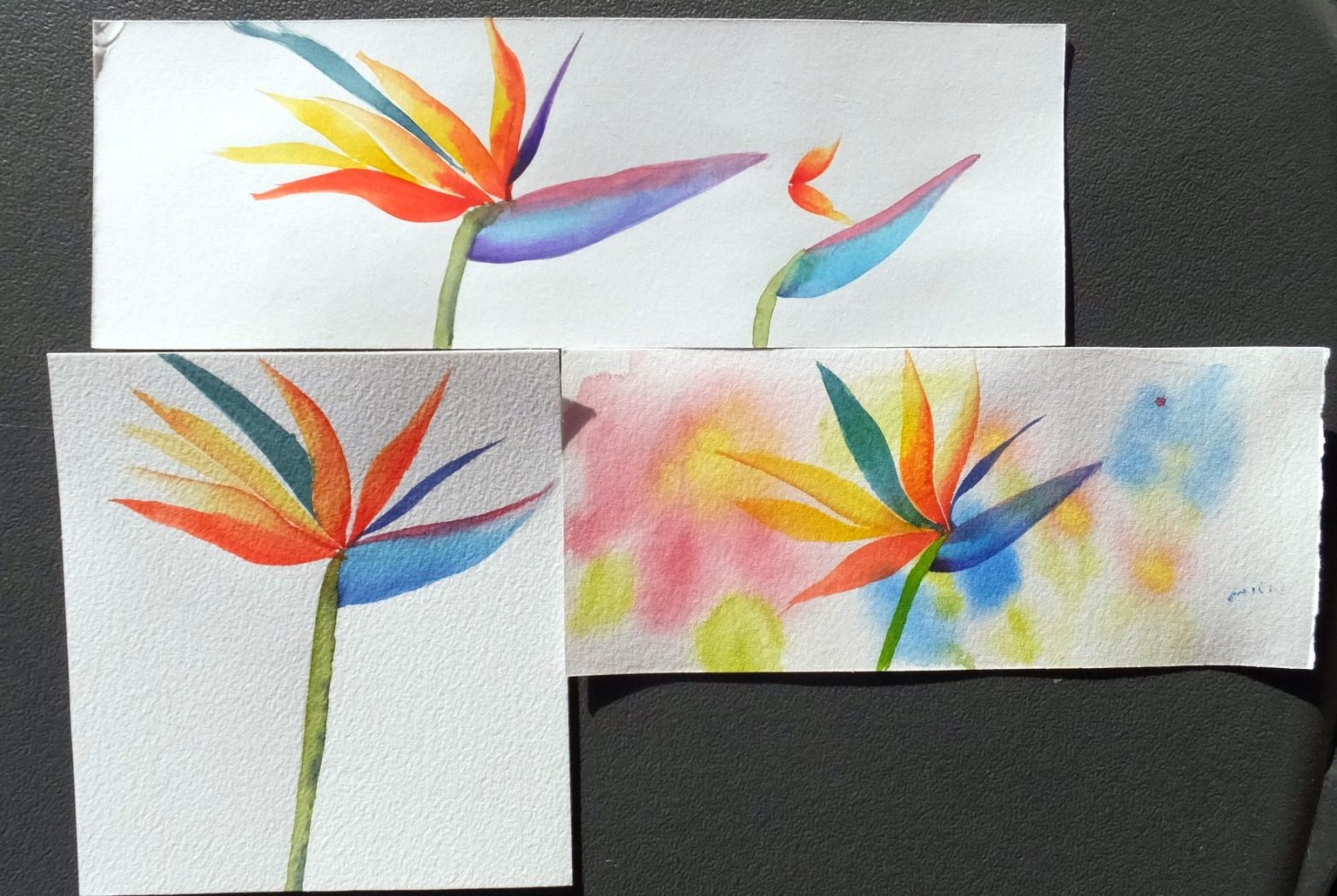 Expressive flower - image 1 - student project