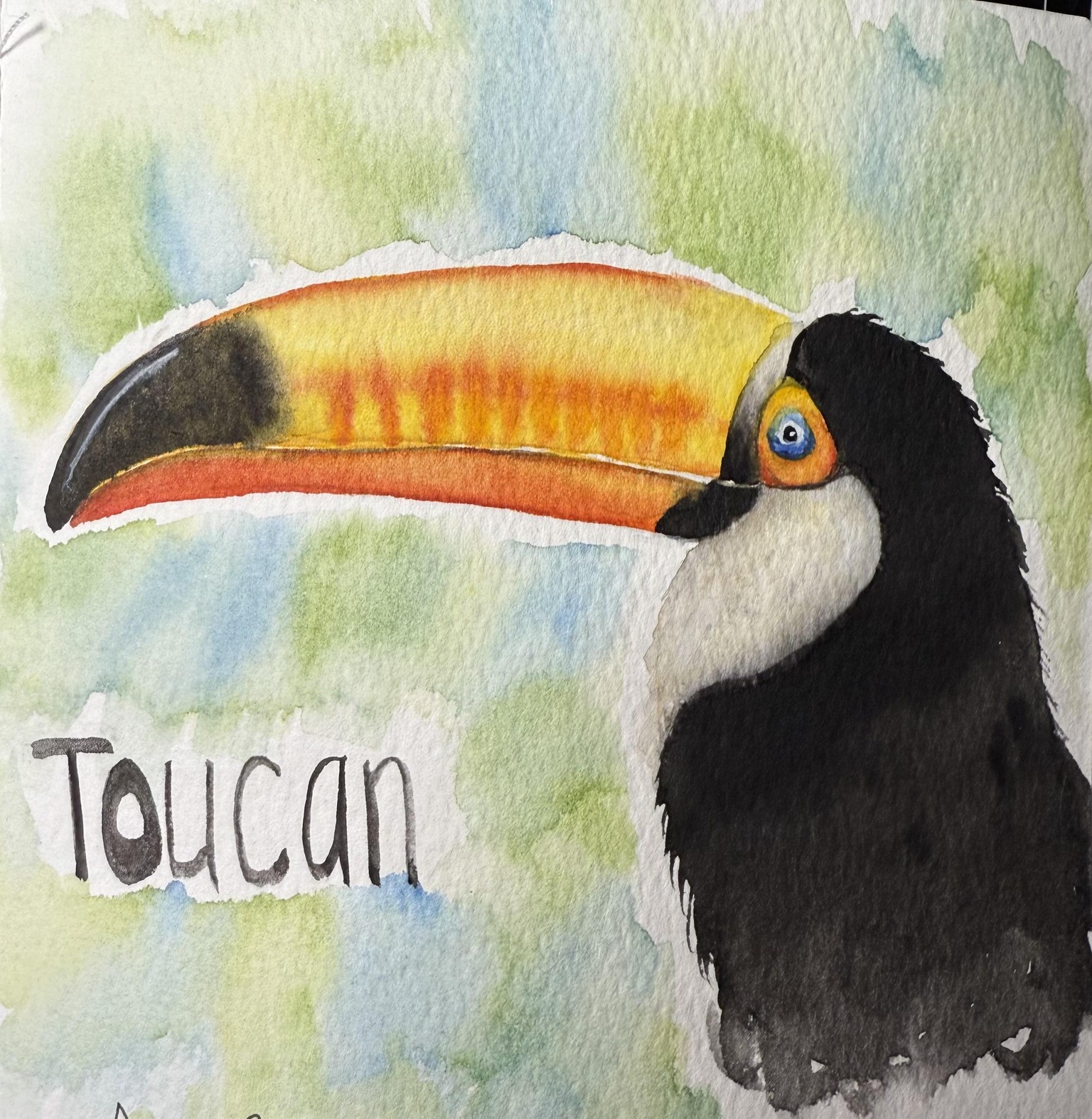 Toucan - image 1 - student project