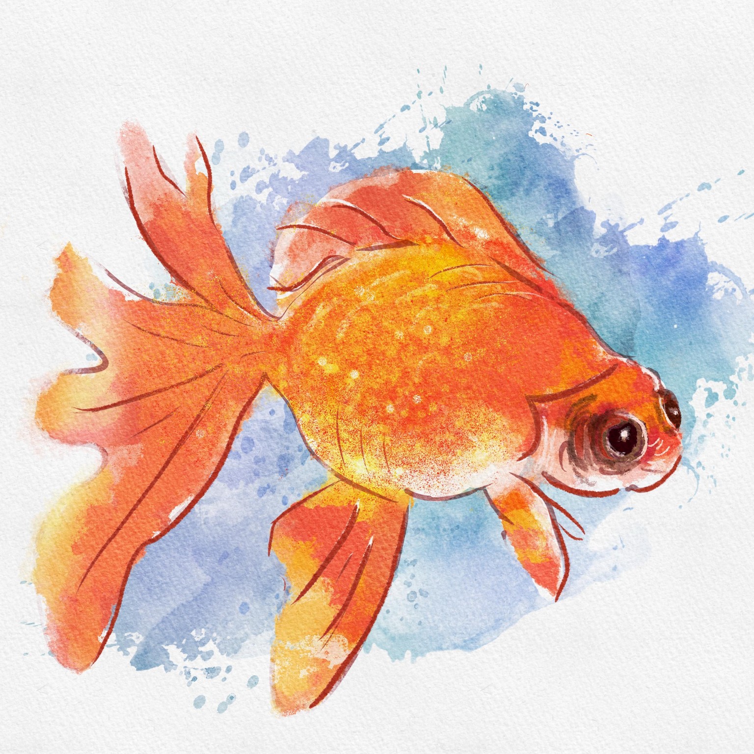 Goldfish - image 1 - student project