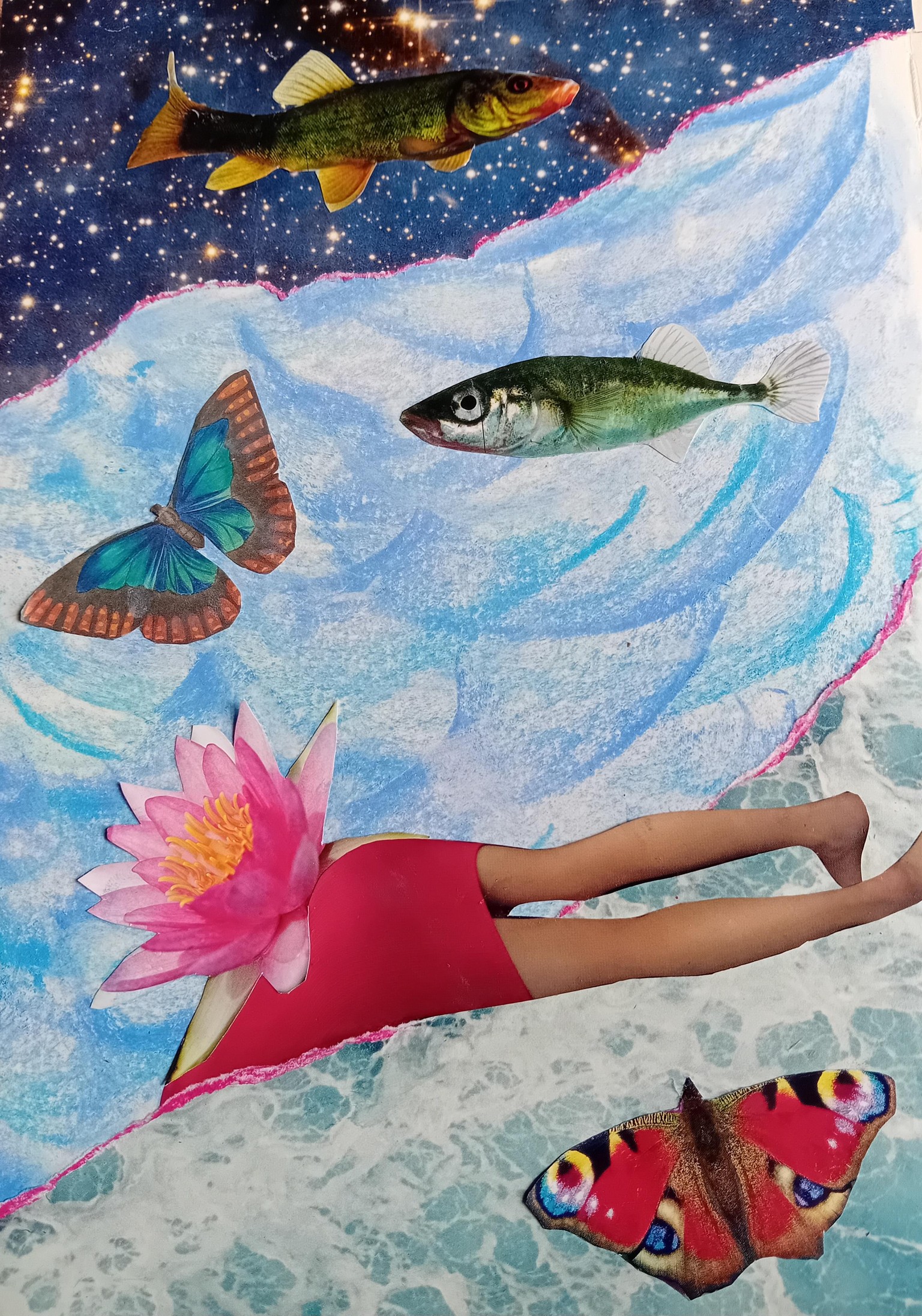 We swim in sky and fly in water and we dissapear - image 1 - student project