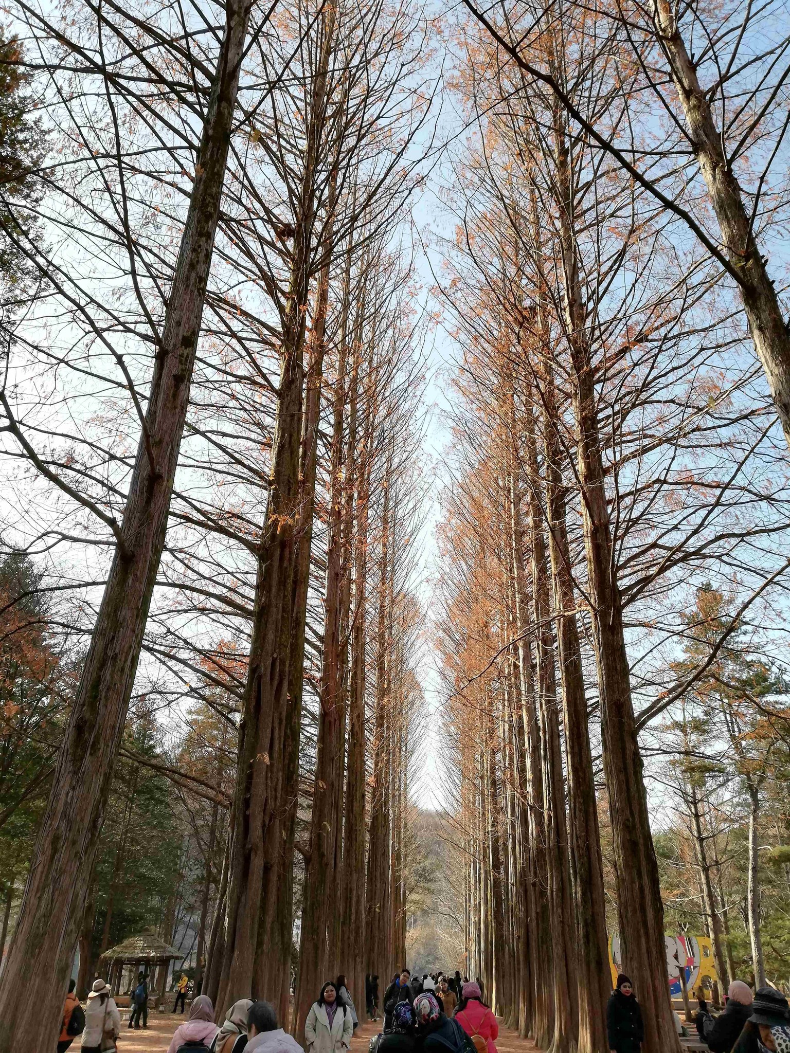 Random places in Seoul, South Korea - image 6 - student project