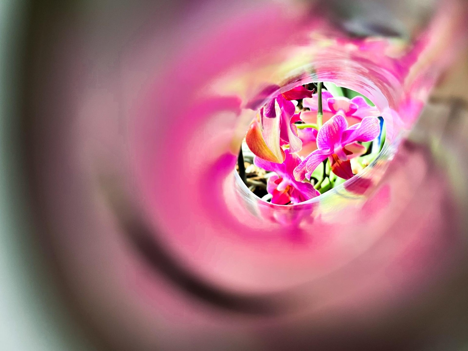 Bend Over - image 17 - student project