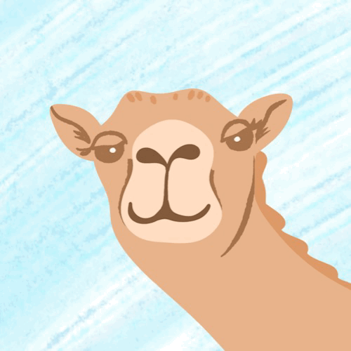Fancy Camel - image 1 - student project