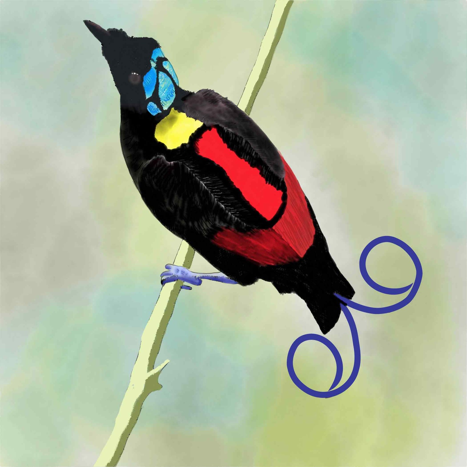 Bird of paradise bird - image 1 - student project