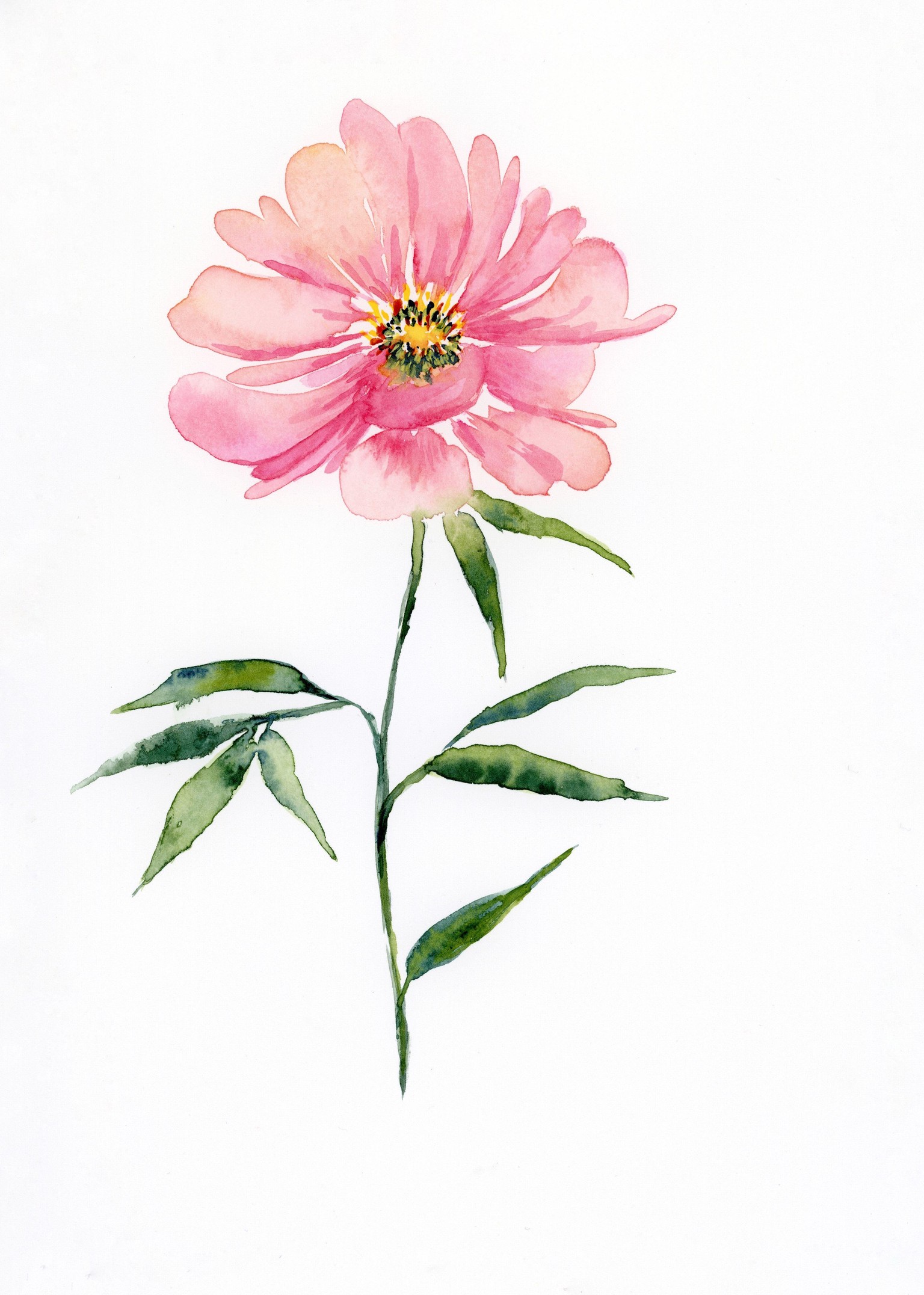Watercolor florals - image 6 - student project