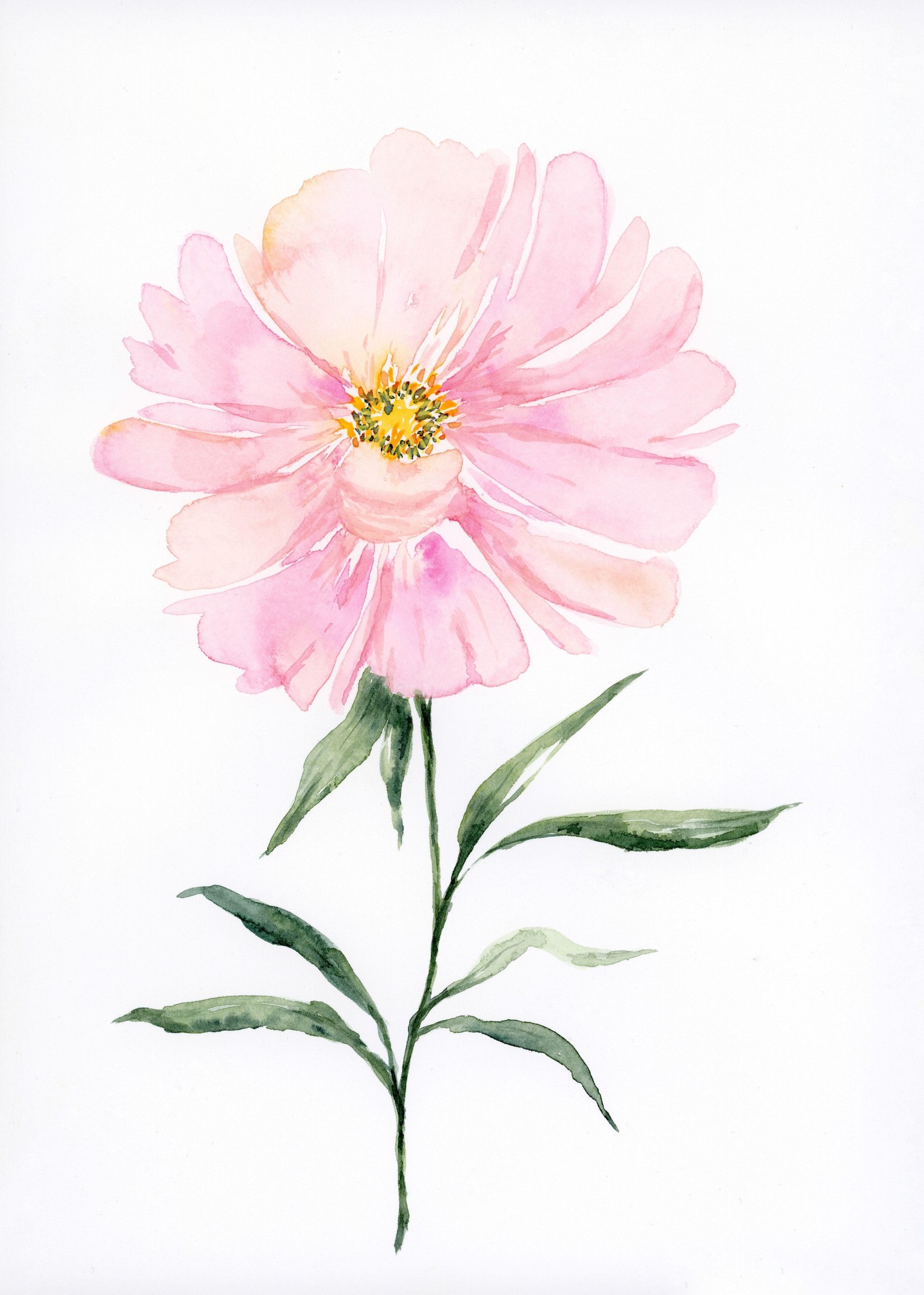 Watercolor florals - image 4 - student project