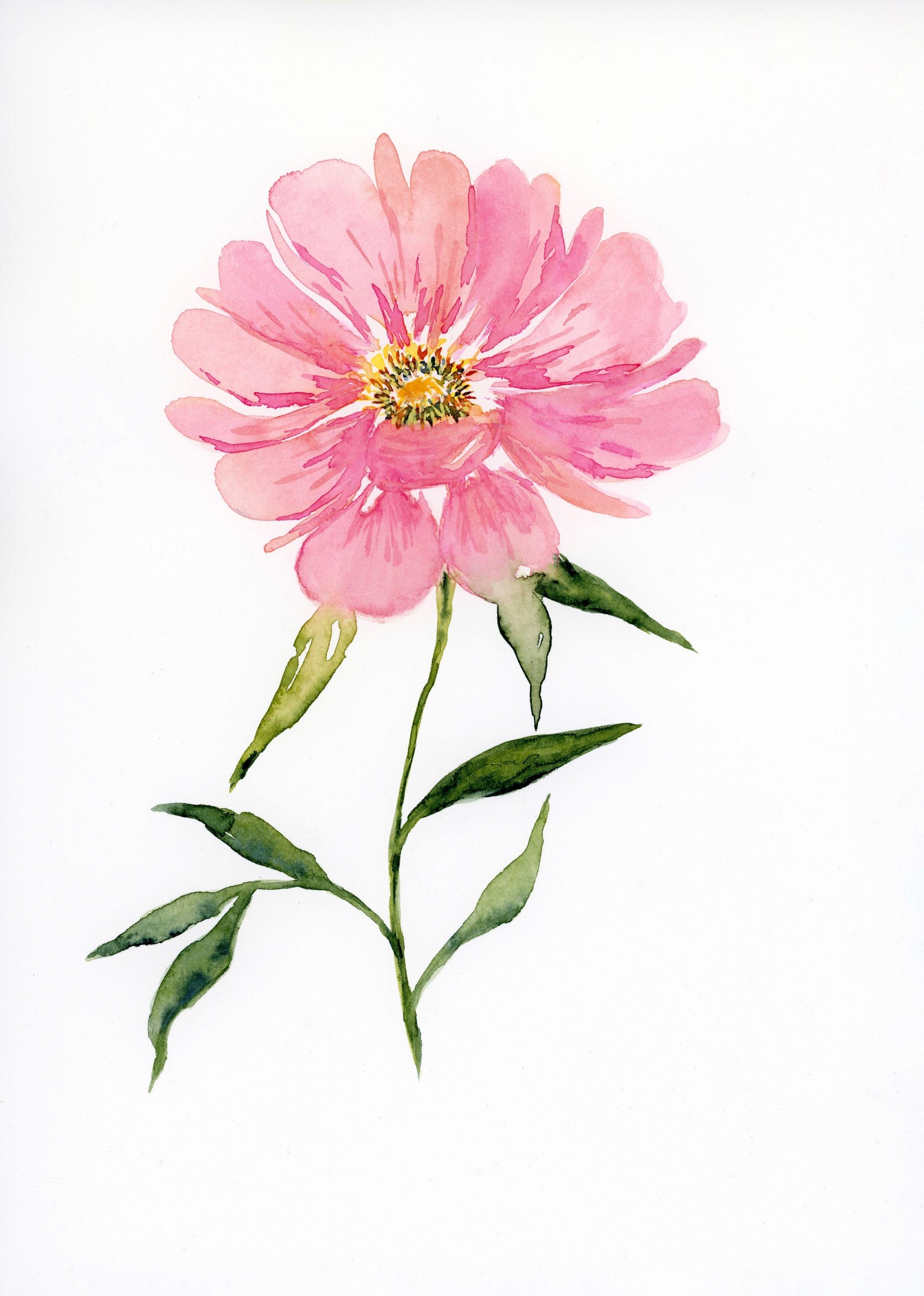 Watercolor florals - image 5 - student project