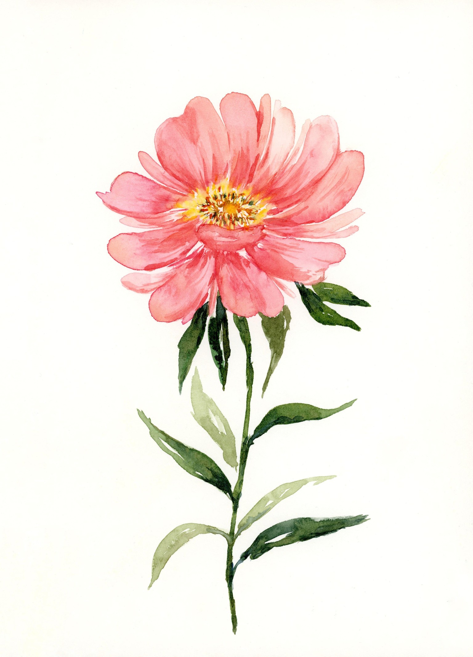 Watercolor florals - image 3 - student project