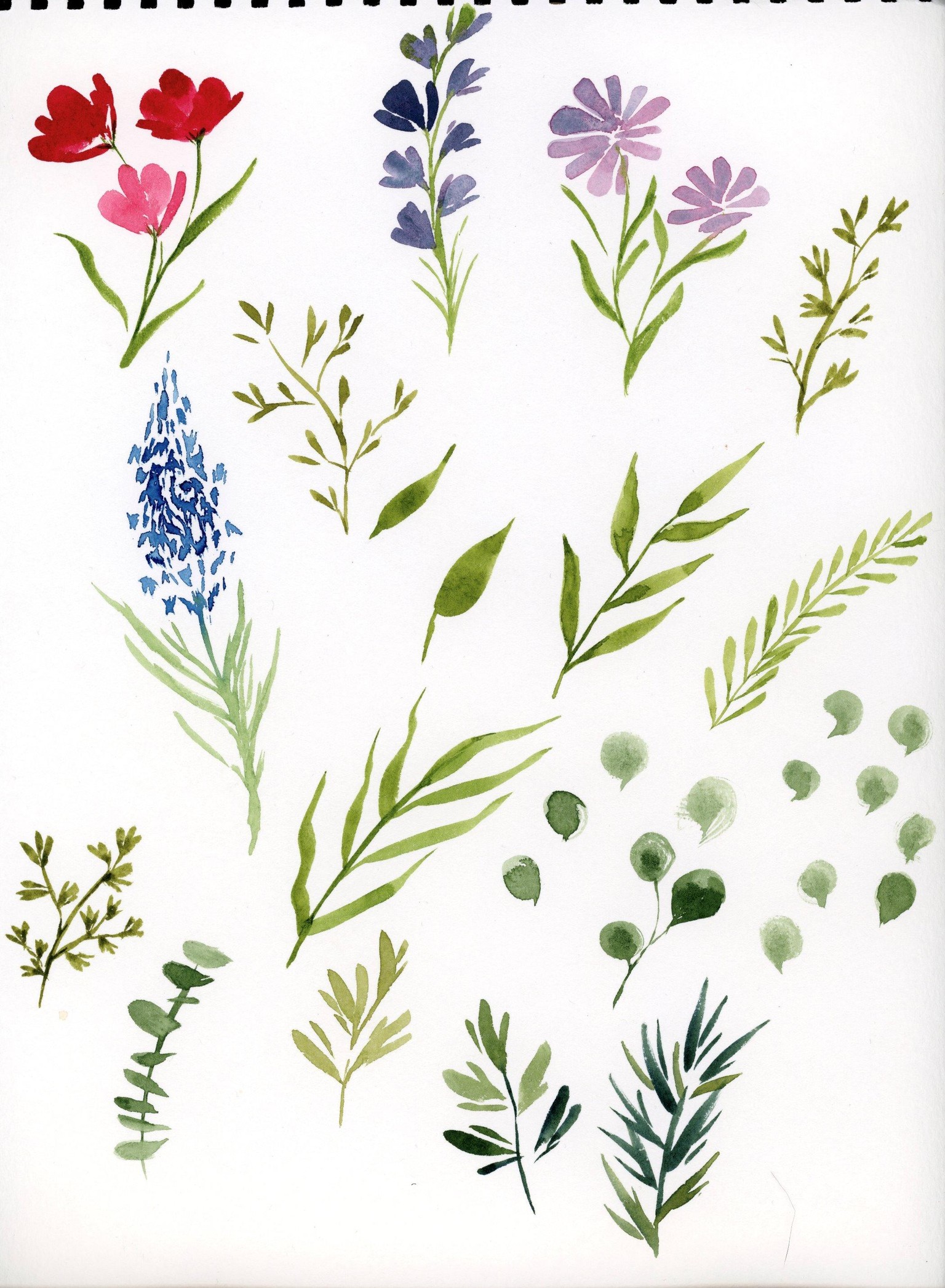 Watercolor florals - image 7 - student project