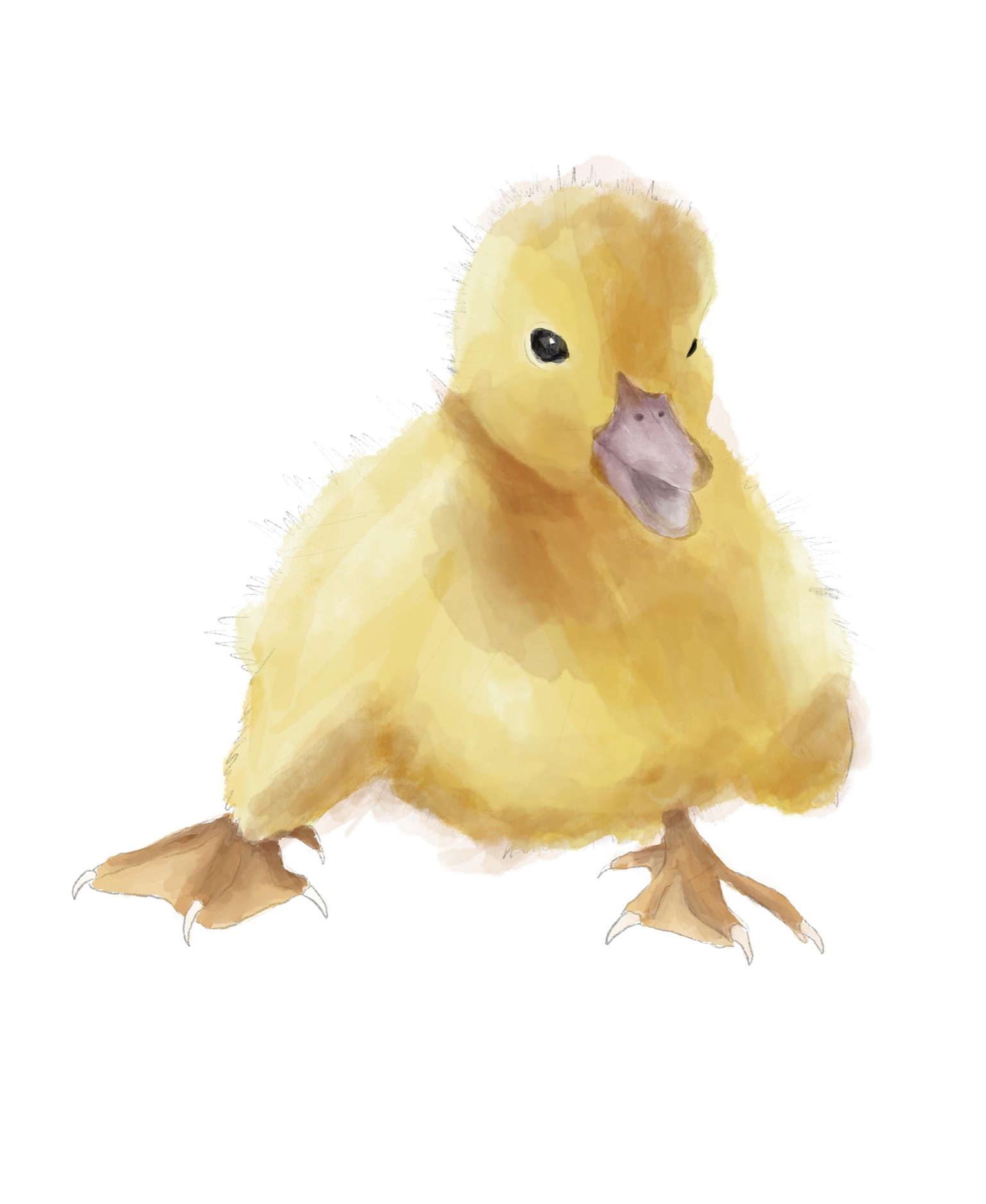 Birds - image 2 - student project