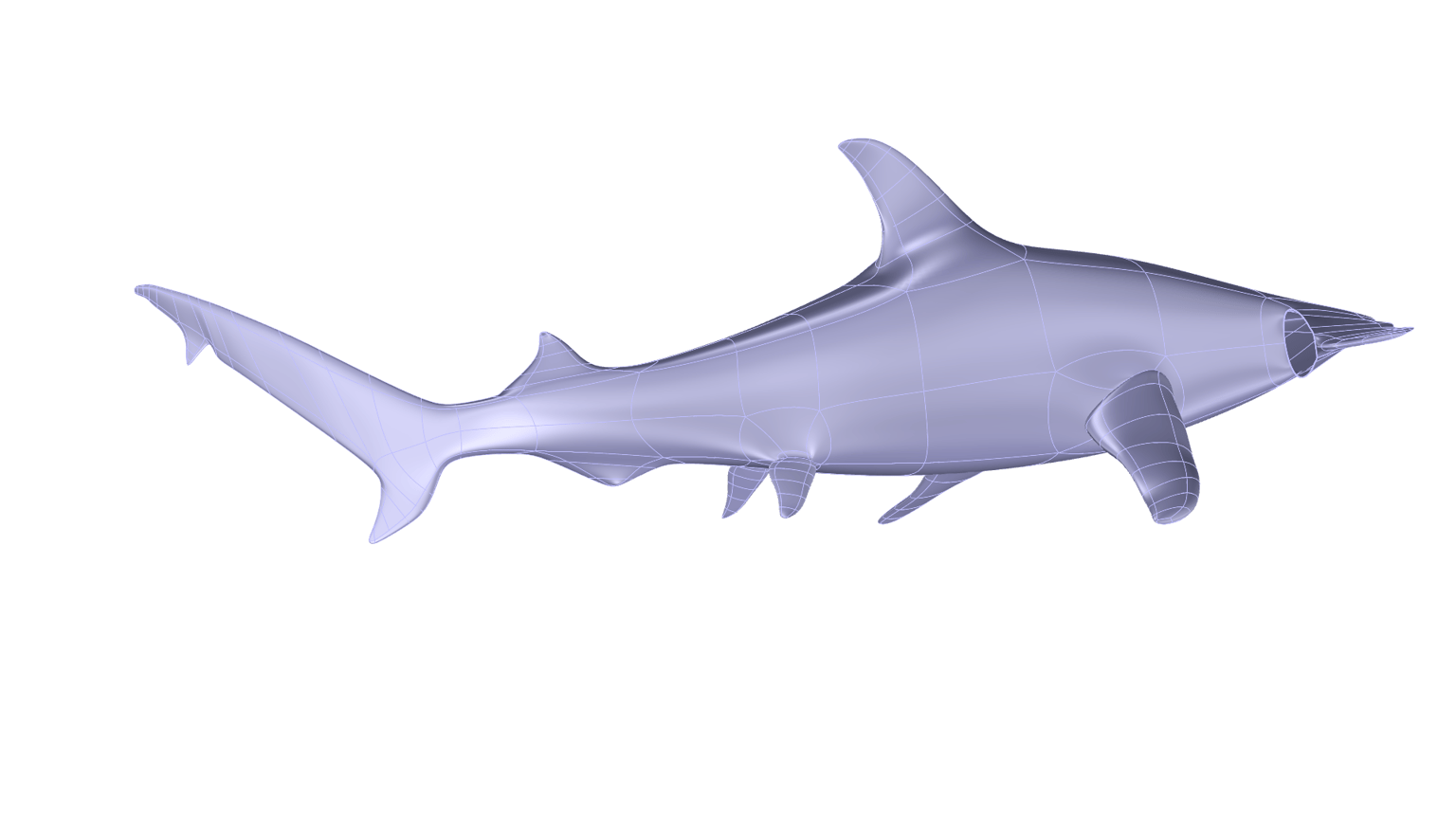 Hammerhead shark - image 3 - student project