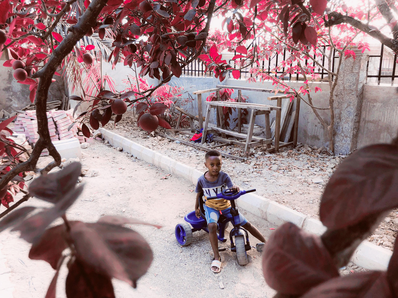 the joy of an uncle - image 2 - student project