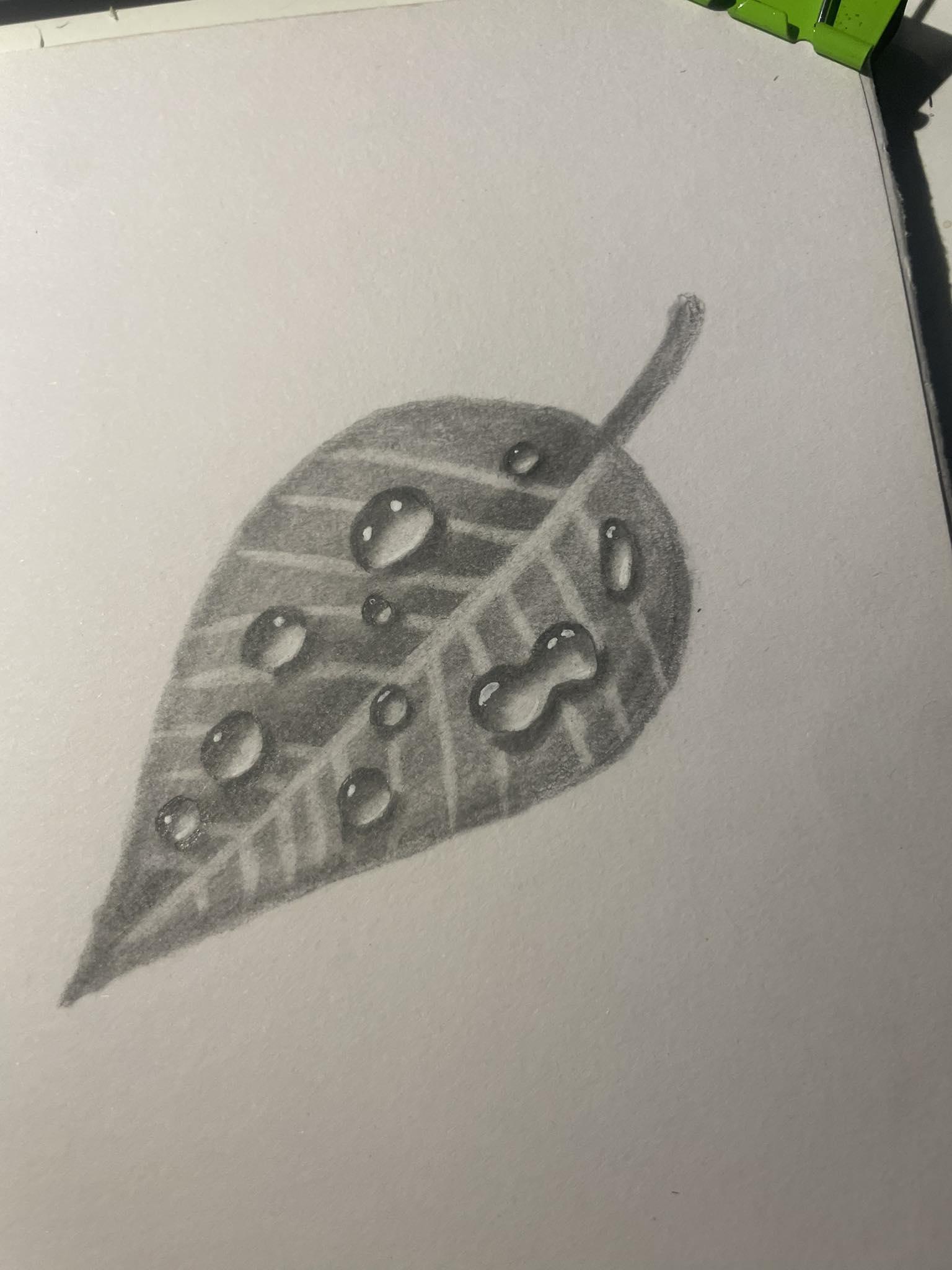 Practice - image 3 - student project