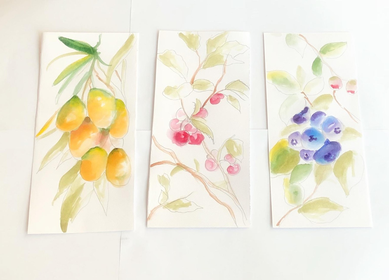 Pencil and watercolor - image 1 - student project
