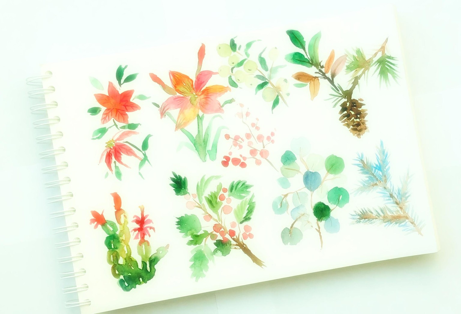Winter watercolor botanicals - image 1 - student project