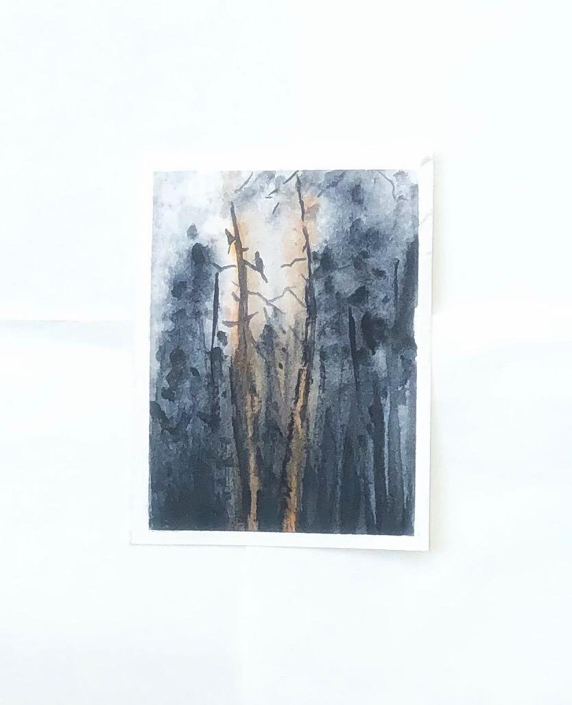 Moody landscapes - image 8 - student project