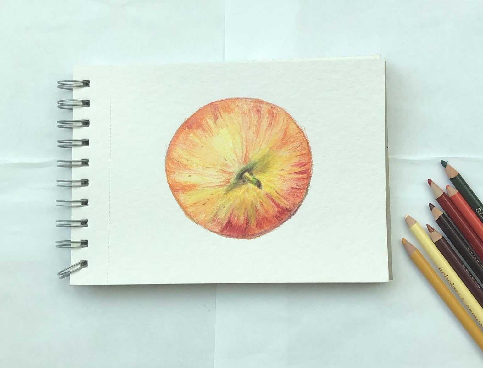Food illustration - image 4 - student project