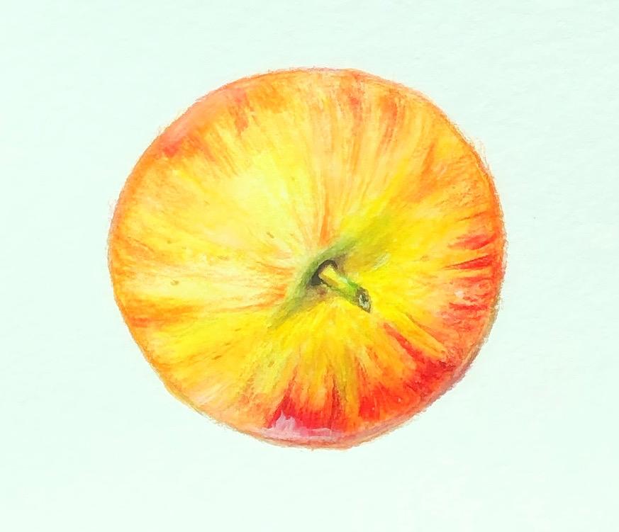 Food illustration - image 5 - student project