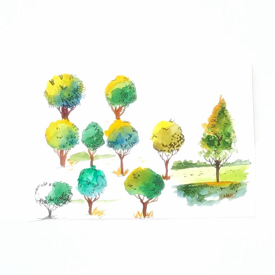 Greenery in urban sketching - image 1 - student project