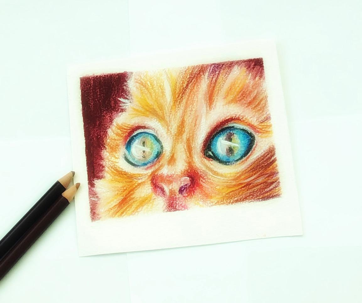 Color pencil drawing - image 1 - student project