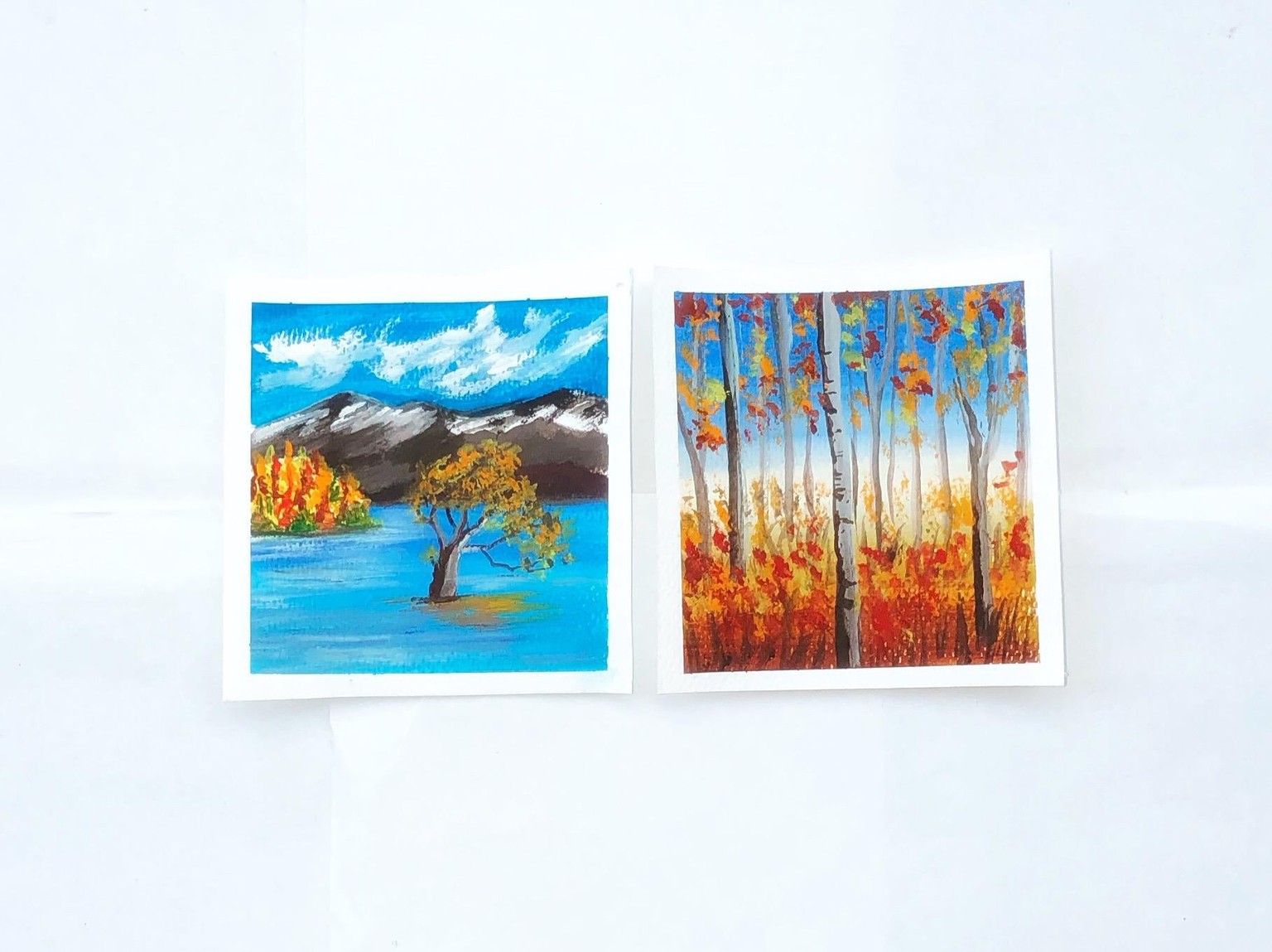 Autumn landscapes - image 1 - student project