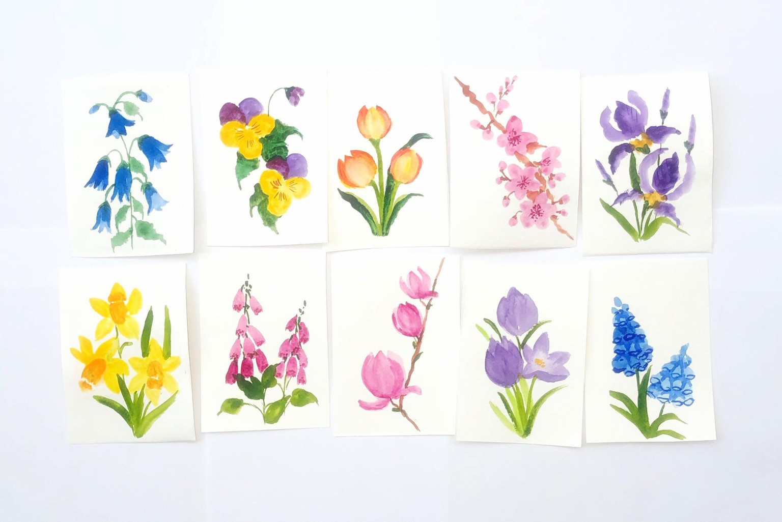Spring flowers - image 1 - student project