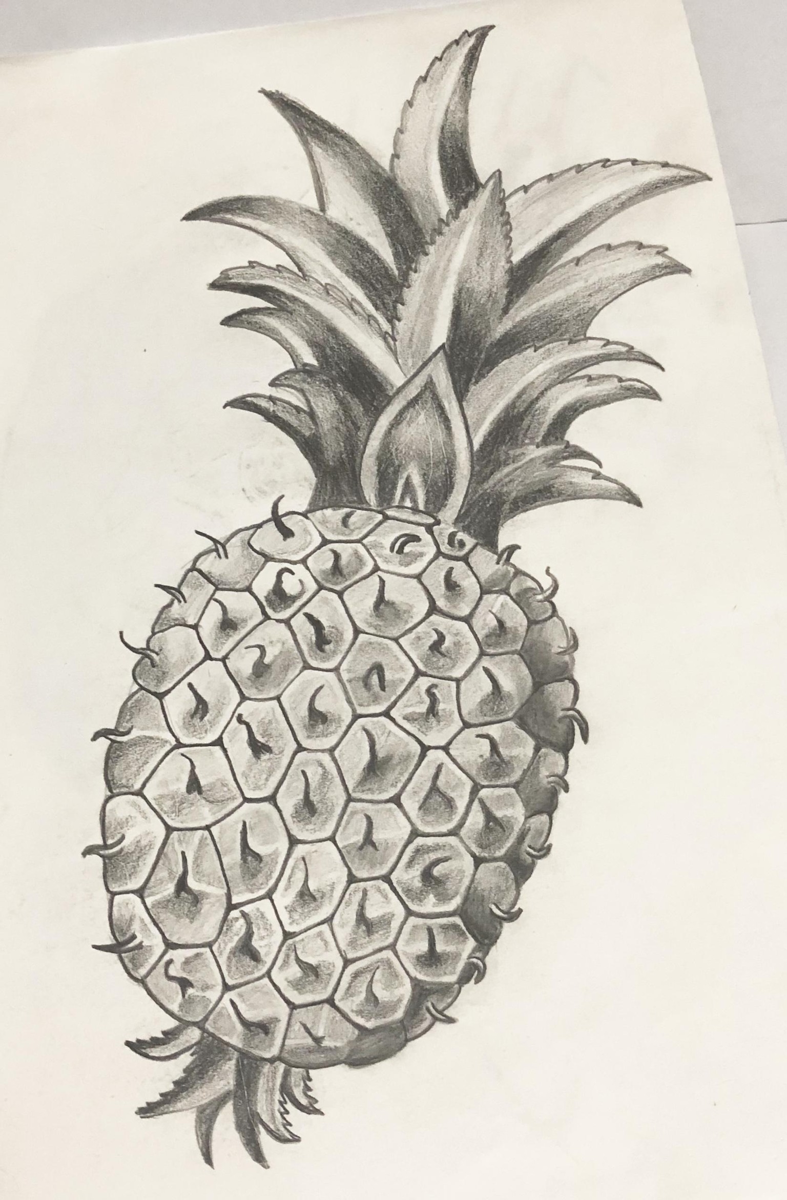 Pencil shading - image 1 - student project