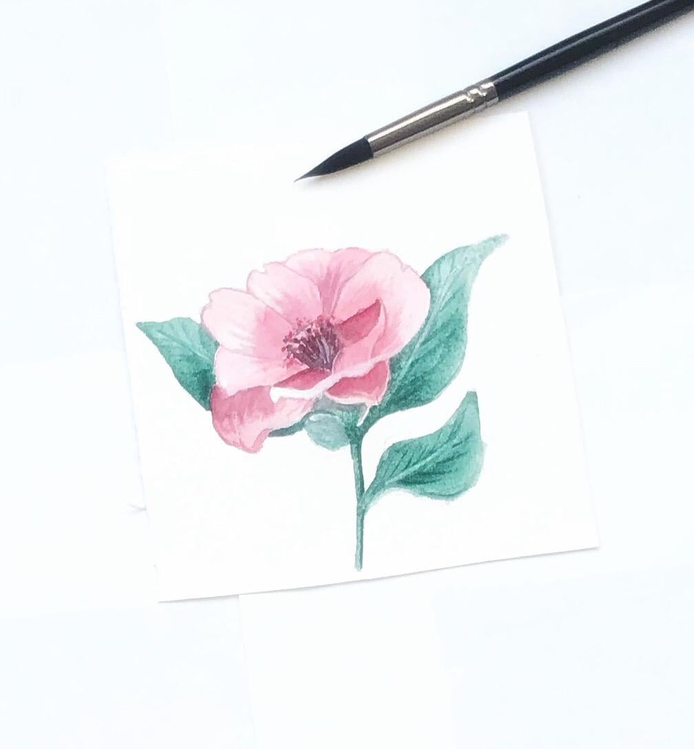 Watercolor flower - image 1 - student project