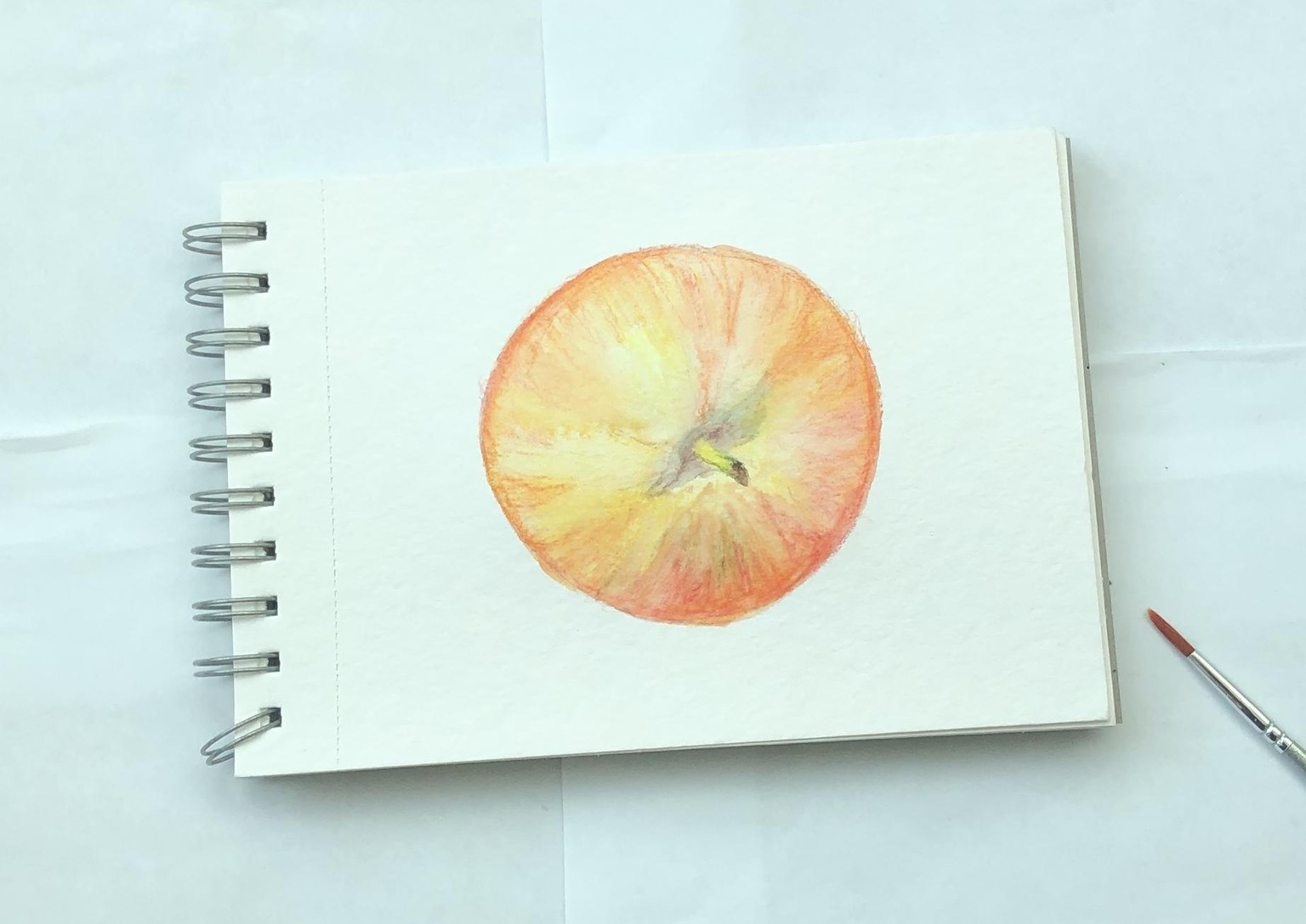 Food illustration - image 3 - student project