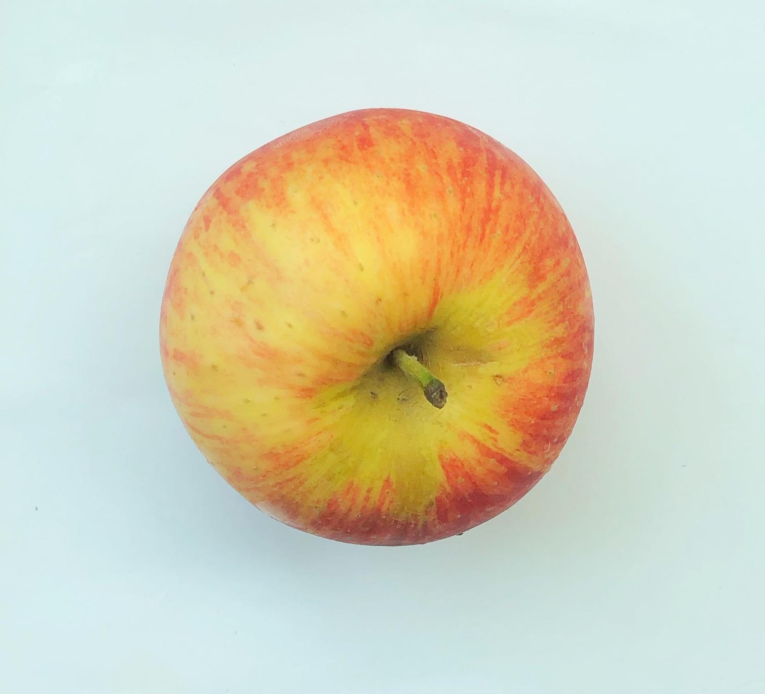 Food illustration - image 1 - student project