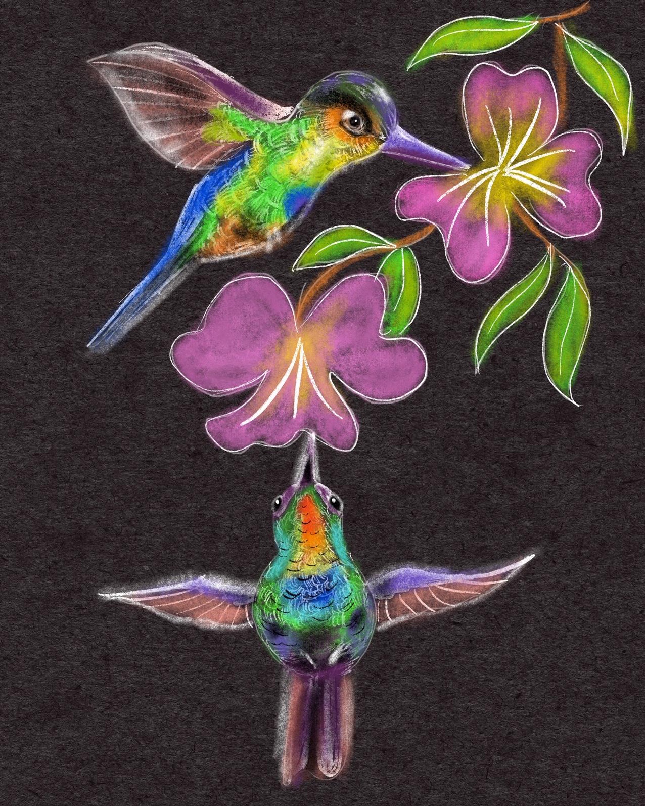 Soft Pastel Humming birds - image 1 - student project