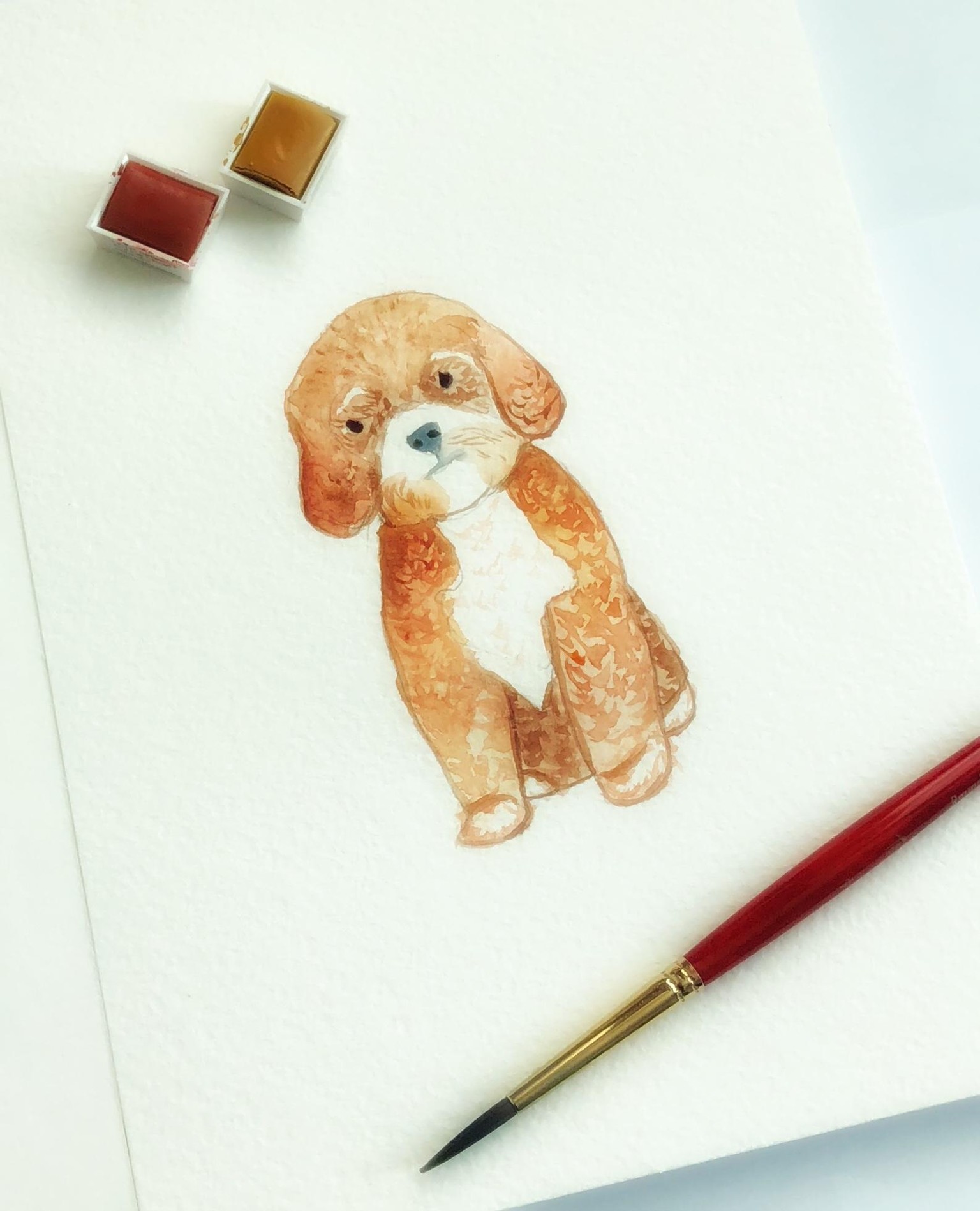 Watercolor baby animal - image 1 - student project