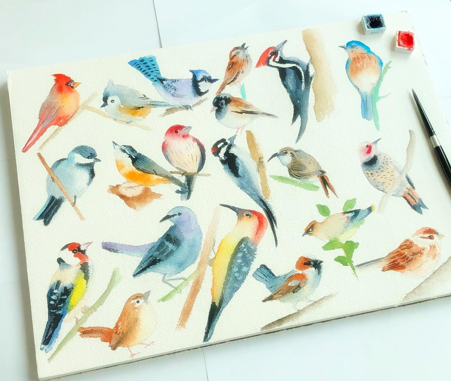 Watercolor Birds - image 1 - student project