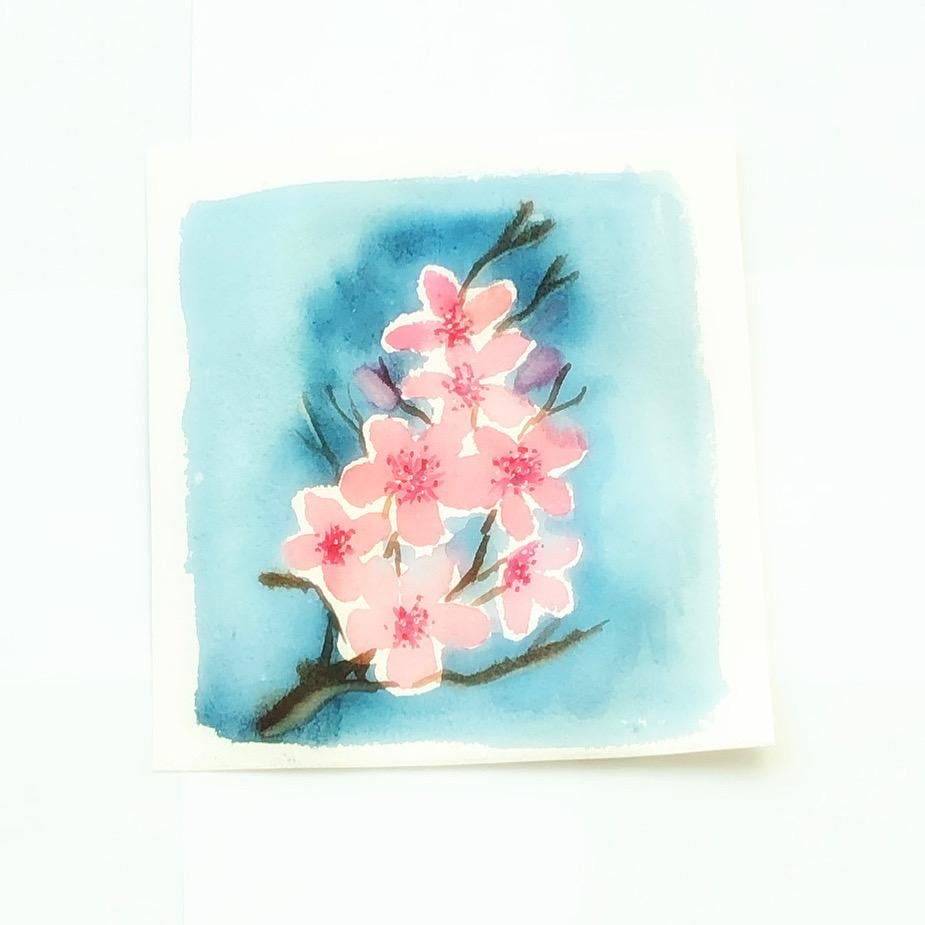 Cherry blossoms in watercolor - image 1 - student project
