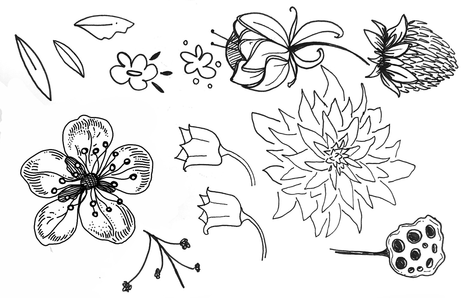 Spring Fields - image 1 - student project