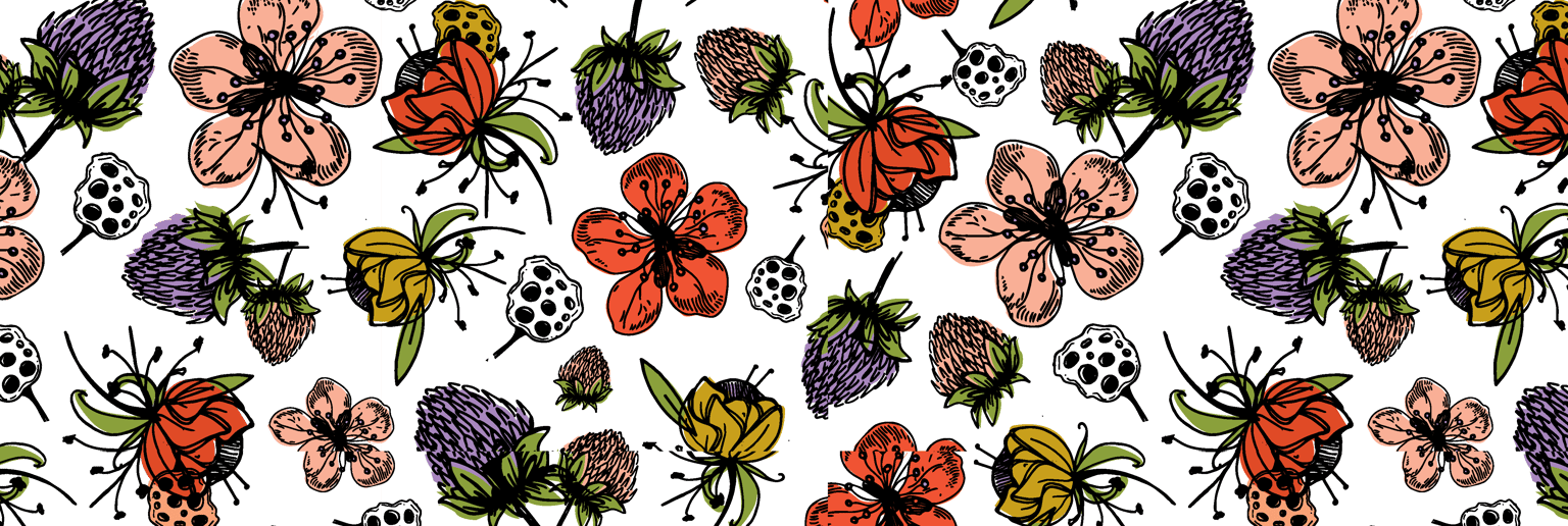 Spring Fields - image 3 - student project