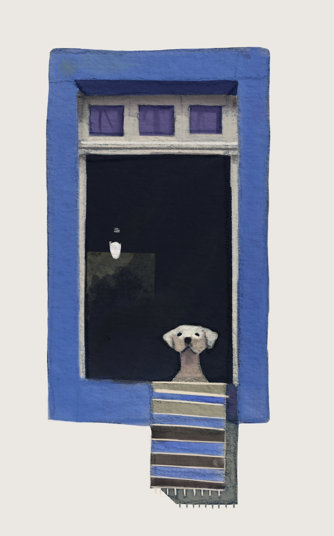 Windows and Walls - image 2 - student project