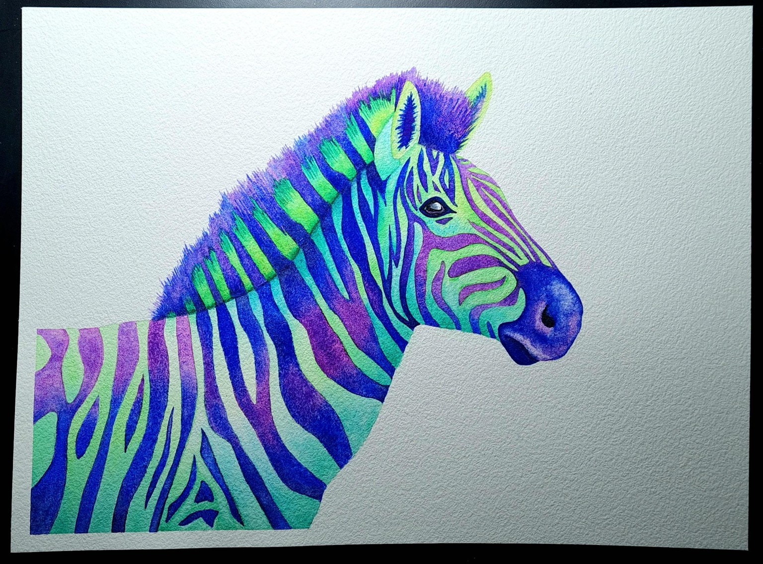 Color Wheel Zebra - image 1 - student project